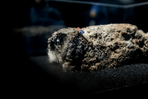 Preventing Fatbergs: What can you do to help?